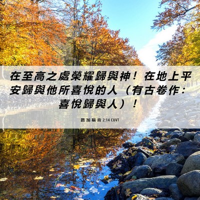 Picture 06 - 路 加 福 音 2:14 CUVT - 在 至 高 之 處 榮 耀 歸 與 神 ！ 在 - Bible Verse Picture