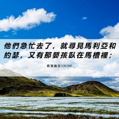 Picture 06 - 路 加 福 音 2:16 CUVT - 他 們 急 忙 去 了 ， 就 尋 見 馬 利 - Bible Verse Picture