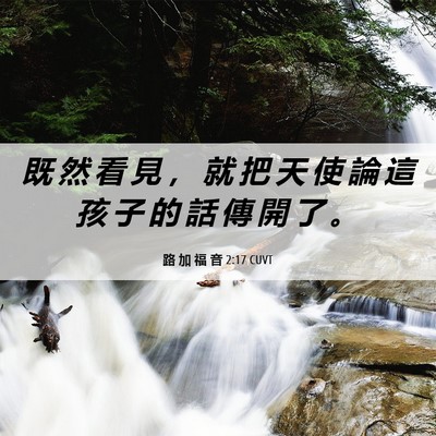 Picture 06 - 路 加 福 音 2:17 CUVT - 既 然 看 見 ， 就 把 天 使 論 這 孩 - Bible Verse Picture