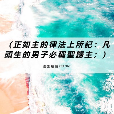 Picture 06 - 路 加 福 音 2:23 CUVT - （ 正 如 主 的 律 法 上 所 記 ： 凡 - Bible Verse Picture