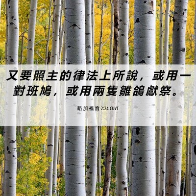 Picture 06 - 路 加 福 音 2:24 CUVT - 又 要 照 主 的 律 法 上 所 說 ， 或 - Bible Verse Picture