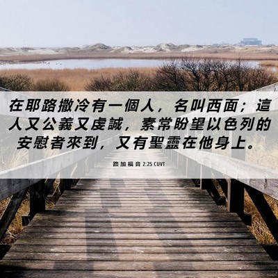 Picture 06 - 路 加 福 音 2:25 CUVT - 在 耶 路 撒 冷 有 一 個 人 ， 名 叫 - Bible Verse Picture