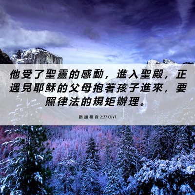 Picture 06 - 路 加 福 音 2:27 CUVT - 他 受 了 聖 靈 的 感 動 ， 進 入 聖 - Bible Verse Picture