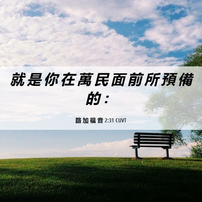Picture 06 - 路 加 福 音 2:31 CUVT - 就 是 你 在 萬 民 面 前 所 預 備 的 - Bible Verse Picture