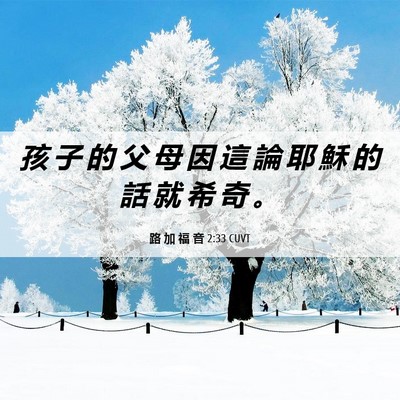 Picture 06 - 路 加 福 音 2:33 CUVT - 孩 子 的 父 母 因 這 論 耶 穌 的 話 - Bible Verse Picture