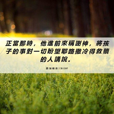 Picture 06 - 路 加 福 音 2:38 CUVT - 正 當 那 時 ， 他 進 前 來 稱 謝 神 - Bible Verse Picture