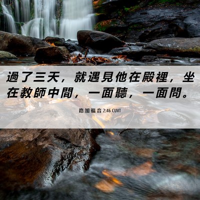 Picture 06 - 路 加 福 音 2:46 CUVT - 過 了 三 天 ， 就 遇 見 他 在 殿 裡 - Bible Verse Picture