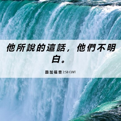 Picture 06 - 路 加 福 音 2:50 CUVT - 他 所 說 的 這 話 ， 他 們 不 明 白 - Bible Verse Picture