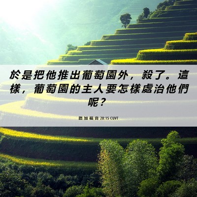 Picture 06 - 路 加 福 音 20:15 CUVT - 於 是 把 他 推 出 葡 萄 園 外 ， 殺 - Bible Verse Picture