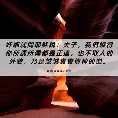 Picture 06 - 路 加 福 音 20:21 CUVT - 奸 細 就 問 耶 穌 說 ： 夫 子 ， 我 - Bible Verse Picture