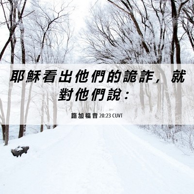 Picture 06 - 路 加 福 音 20:23 CUVT - 耶 穌 看 出 他 們 的 詭 詐 ， 就 對 - Bible Verse Picture
