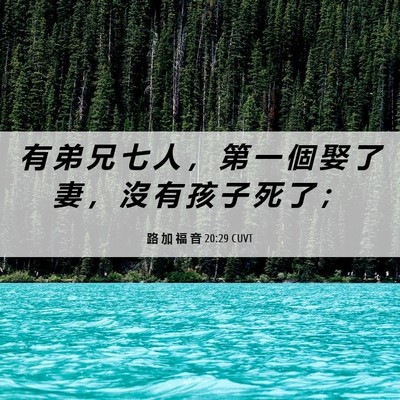 Picture 06 - 路 加 福 音 20:29 CUVT - 有 弟 兄 七 人 ， 第 一 個 娶 了 妻 - Bible Verse Picture