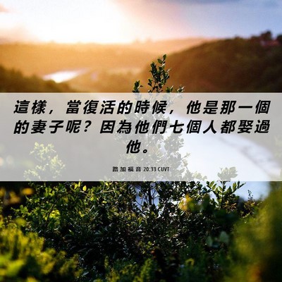 Picture 06 - 路 加 福 音 20:33 CUVT - 這 樣 ， 當 復 活 的 時 候 ， 他 是 - Bible Verse Picture