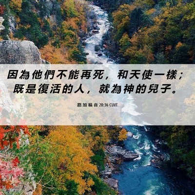 Picture 06 - 路 加 福 音 20:36 CUVT - 因 為 他 們 不 能 再 死 ， 和 天 使 - Bible Verse Picture