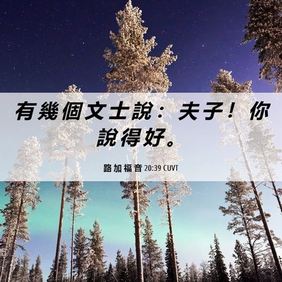 Picture 06 - 路 加 福 音 20:39 CUVT - 有 幾 個 文 士 說 ： 夫 子 ！ 你 說 - Bible Verse Picture