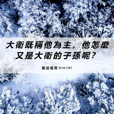 Picture 06 - 路 加 福 音 20:44 CUVT - 大 衛 既 稱 他 為 主 ， 他 怎 麼 又 - Bible Verse Picture
