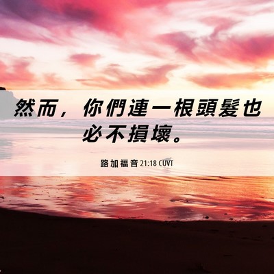 Picture 06 - 路 加 福 音 21:18 CUVT - 然 而 ， 你 們 連 一 根 頭 髮 也 必 - Bible Verse Picture