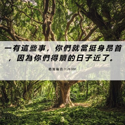 Picture 06 - 路 加 福 音 21:28 CUVT - 一 有 這 些 事 ， 你 們 就 當 挺 身 - Bible Verse Picture