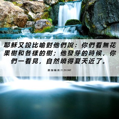 Picture 06 - 路 加 福 音 21:29 CUVT - 耶 穌 又 設 比 喻 對 他 們 說 ： 你 - Bible Verse Picture
