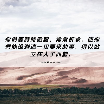 Picture 06 - 路 加 福 音 21:36 CUVT - 你 們 要 時 時 儆 醒 ， 常 常 祈 求 - Bible Verse Picture