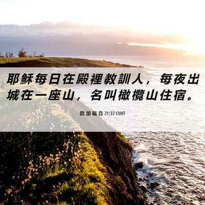 Picture 06 - 路 加 福 音 21:37 CUVT - 耶 穌 每 日 在 殿 裡 教 訓 人 ， 每 - Bible Verse Picture
