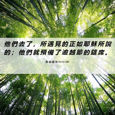 Picture 06 - 路 加 福 音 22:13 CUVT - 他 們 去 了 ， 所 遇 見 的 正 如 耶 - Bible Verse Picture