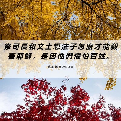 Picture 06 - 路 加 福 音 22:2 CUVT - 祭 司 長 和 文 士 想 法 子 怎 麼 才 - Bible Verse Picture