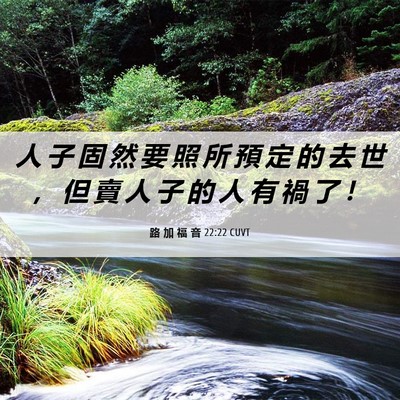 Picture 06 - 路 加 福 音 22:22 CUVT - 人 子 固 然 要 照 所 預 定 的 去 世 - Bible Verse Picture
