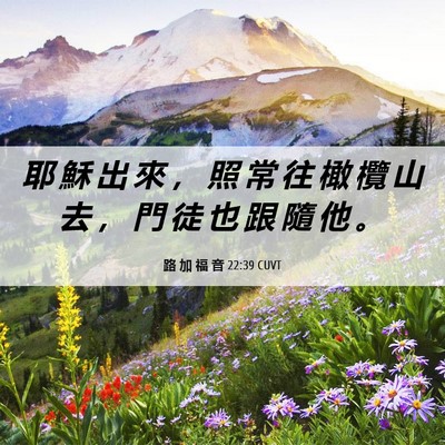 Picture 06 - 路 加 福 音 22:39 CUVT - 耶 穌 出 來 ， 照 常 往 橄 欖 山 去 - Bible Verse Picture