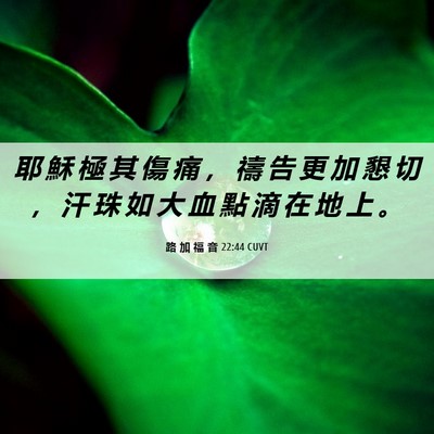 Picture 06 - 路 加 福 音 22:44 CUVT - 耶 穌 極 其 傷 痛 ， 禱 告 更 加 懇 - Bible Verse Picture