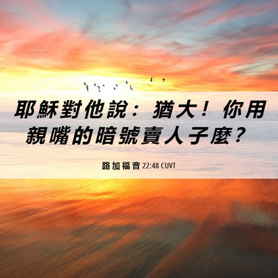 Picture 06 - 路 加 福 音 22:48 CUVT - 耶 穌 對 他 說 ： 猶 大 ！ 你 用 親 - Bible Verse Picture