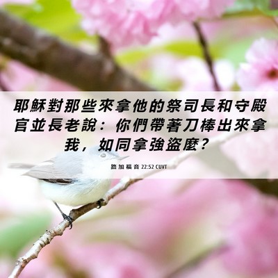 Picture 06 - 路 加 福 音 22:52 CUVT - 耶 穌 對 那 些 來 拿 他 的 祭 司 長 - Bible Verse Picture