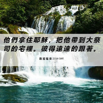 Picture 06 - 路 加 福 音 22:54 CUVT - 他 們 拿 住 耶 穌 ， 把 他 帶 到 大 - Bible Verse Picture