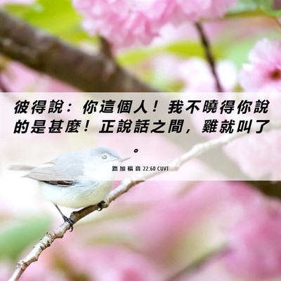 Picture 06 - 路 加 福 音 22:60 CUVT - 彼 得 說 ： 你 這 個 人 ！ 我 不 曉 - Bible Verse Picture