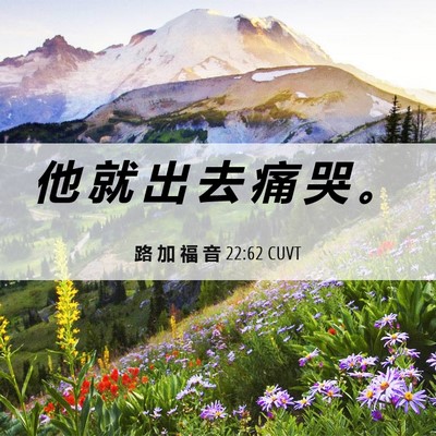 Picture 06 - 路 加 福 音 22:62 CUVT - 他 就 出 去 痛 哭 - Bible Verse Picture