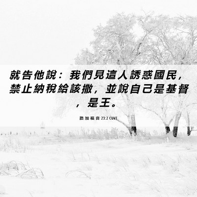 Picture 06 - 路 加 福 音 23:2 CUVT - 就 告 他 說 ： 我 們 見 這 人 誘 惑 - Bible Verse Picture