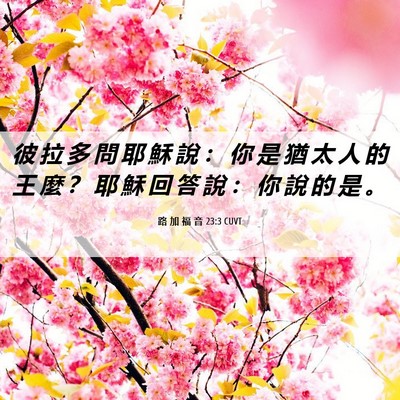Picture 06 - 路 加 福 音 23:3 CUVT - 彼 拉 多 問 耶 穌 說 ： 你 是 猶 太 - Bible Verse Picture