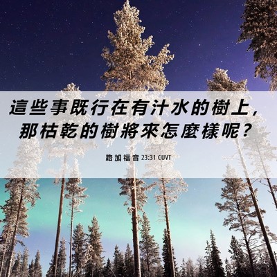 Picture 06 - 路 加 福 音 23:31 CUVT - 這 些 事 既 行 在 有 汁 水 的 樹 上 - Bible Verse Picture