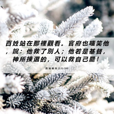 Picture 06 - 路 加 福 音 23:35 CUVT - 百 姓 站 在 那 裡 觀 看 。 官 府 也 - Bible Verse Picture