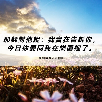 Picture 06 - 路 加 福 音 23:43 CUVT - 耶 穌 對 他 說 ： 我 實 在 告 訴 你 - Bible Verse Picture