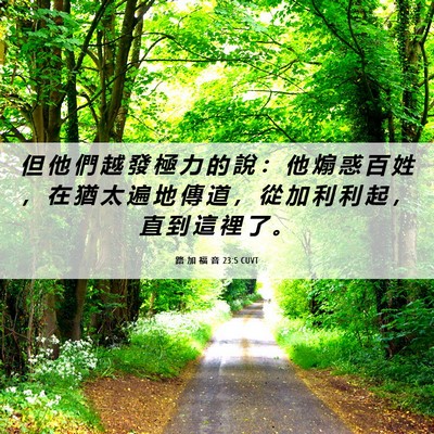 Picture 06 - 路 加 福 音 23:5 CUVT - 但 他 們 越 發 極 力 的 說 ： 他 煽 - Bible Verse Picture