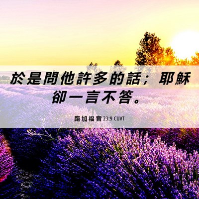 Picture 06 - 路 加 福 音 23:9 CUVT - 於 是 問 他 許 多 的 話 ； 耶 穌 卻 - Bible Verse Picture