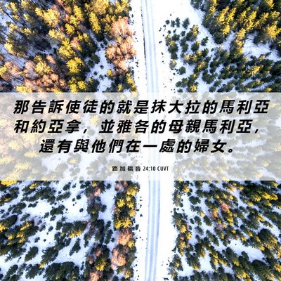 Picture 06 - 路 加 福 音 24:10 CUVT - 那 告 訴 使 徒 的 就 是 抹 大 拉 的 - Bible Verse Picture