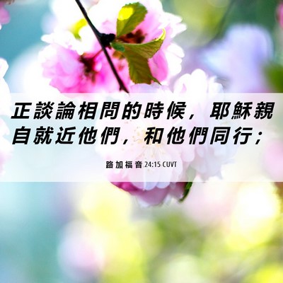 Picture 06 - 路 加 福 音 24:15 CUVT - 正 談 論 相 問 的 時 候 ， 耶 穌 親 - Bible Verse Picture