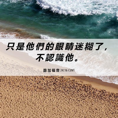 Picture 06 - 路 加 福 音 24:16 CUVT - 只 是 他 們 的 眼 睛 迷 糊 了 ， 不 - Bible Verse Picture