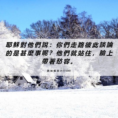 Picture 06 - 路 加 福 音 24:17 CUVT - 耶 穌 對 他 們 說 ： 你 們 走 路 彼 - Bible Verse Picture