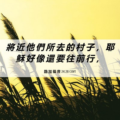 Picture 06 - 路 加 福 音 24:28 CUVT - 將 近 他 們 所 去 的 村 子 ， 耶 穌 - Bible Verse Picture