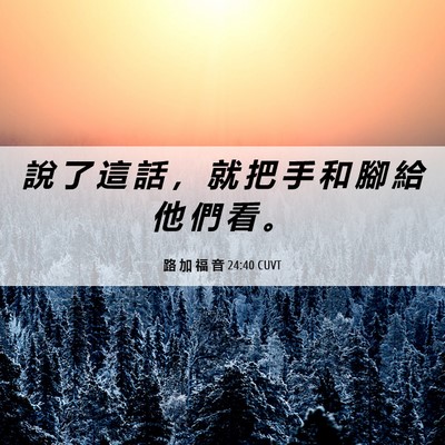 Picture 06 - 路 加 福 音 24:40 CUVT - 說 了 這 話 ， 就 把 手 和 腳 給 他 - Bible Verse Picture