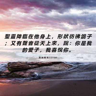Picture 06 - 路 加 福 音 3:22 CUVT - 聖 靈 降 臨 在 他 身 上 ， 形 狀 彷 - Bible Verse Picture