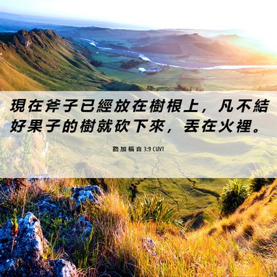 Picture 06 - 路 加 福 音 3:9 CUVT - 現 在 斧 子 已 經 放 在 樹 根 上 ， - Bible Verse Picture